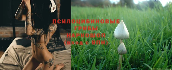 крисы Балахна