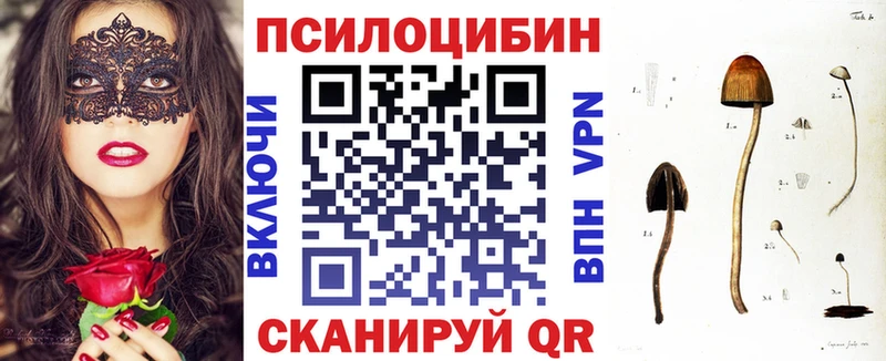 Галлюциногенные грибы MAGIC MUSHROOMS  купить   Ессентуки 